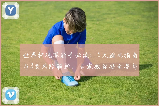 世界杯观赛新手必读:5大避坑指南与3类风险解析,专家教你安全参与